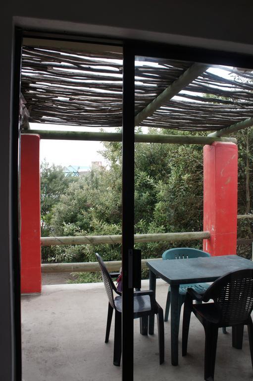 Cape Agulhas Backpackers Pansiyon Struisbaai Dış mekan fotoğraf