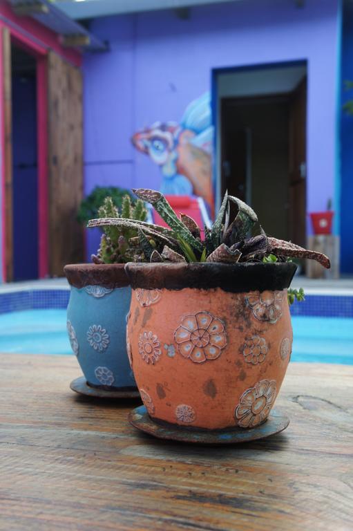 Cape Agulhas Backpackers Pansiyon Struisbaai Oda fotoğraf
