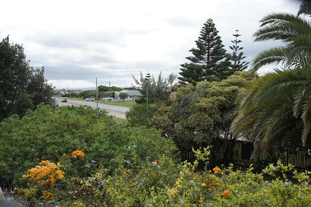 Cape Agulhas Backpackers Pansiyon Struisbaai Oda fotoğraf